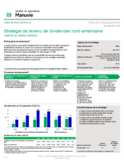 Stratégie de revenu de dividendes nord-américains